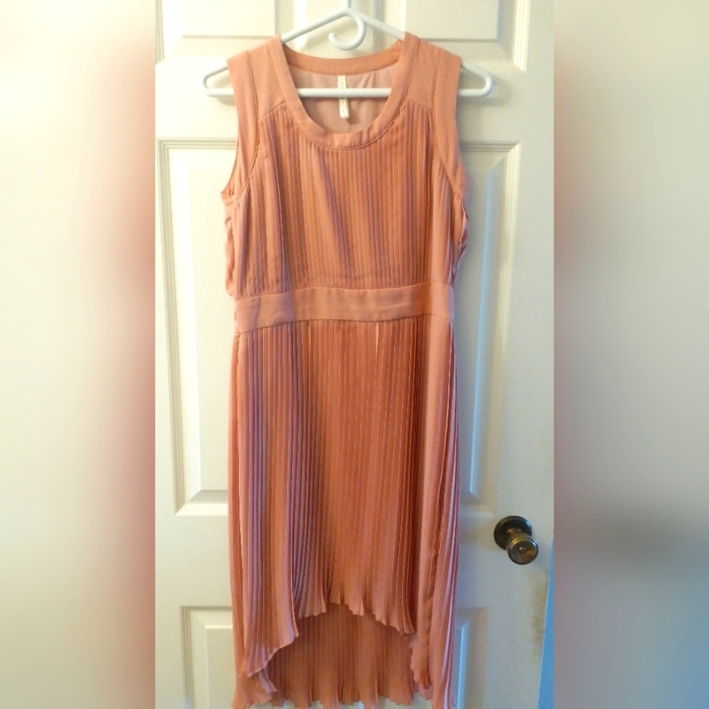 Pink Pleated Dress